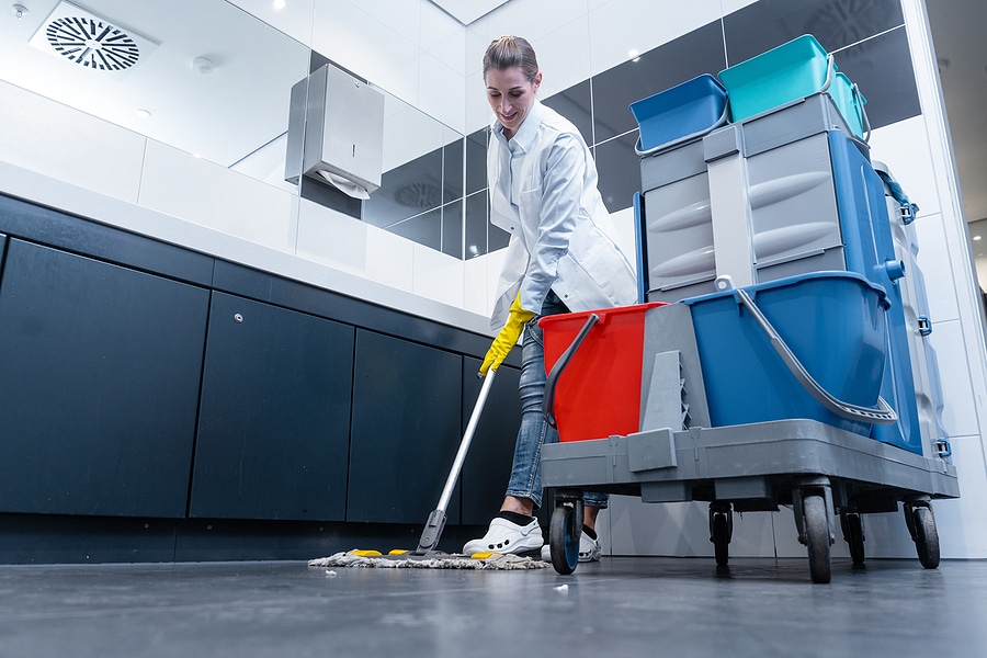 What to Expect from Your Cleaning Crew